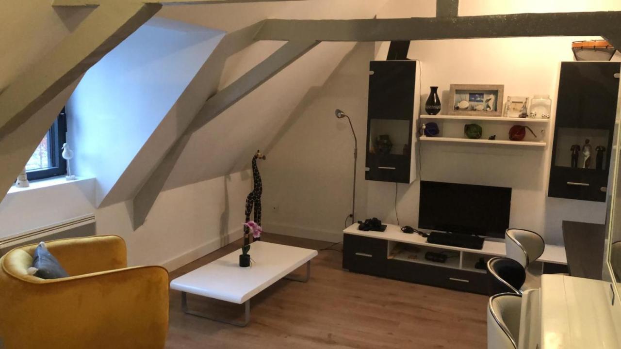Logement Avec Deux Appartements Sur Deux Etages Wormhout Zewnętrze zdjęcie